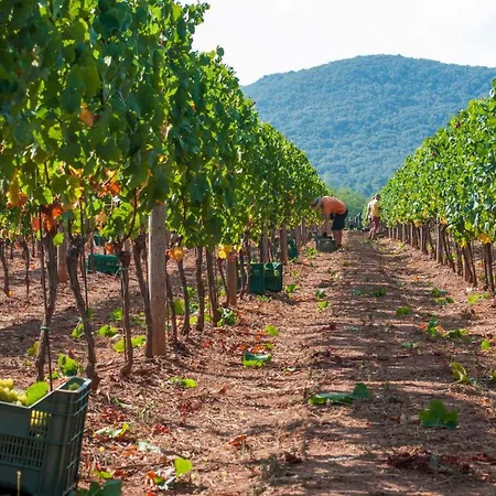 Tenuta La Chiusa *