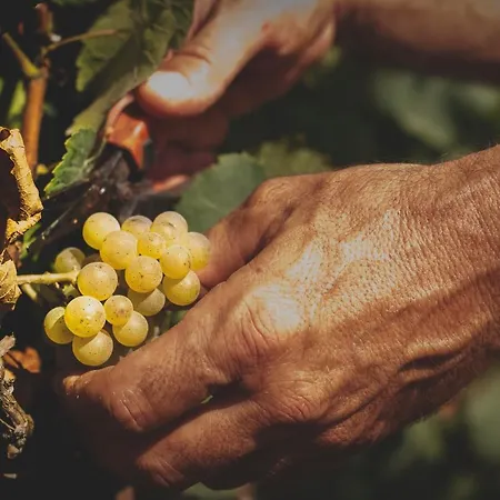 Tenuta La Chiusa Farma Portoferraio